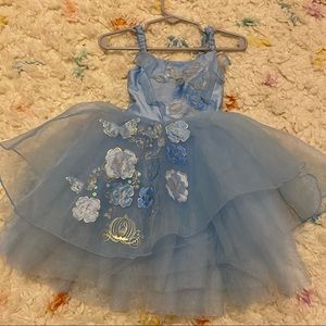 Cinderella dress